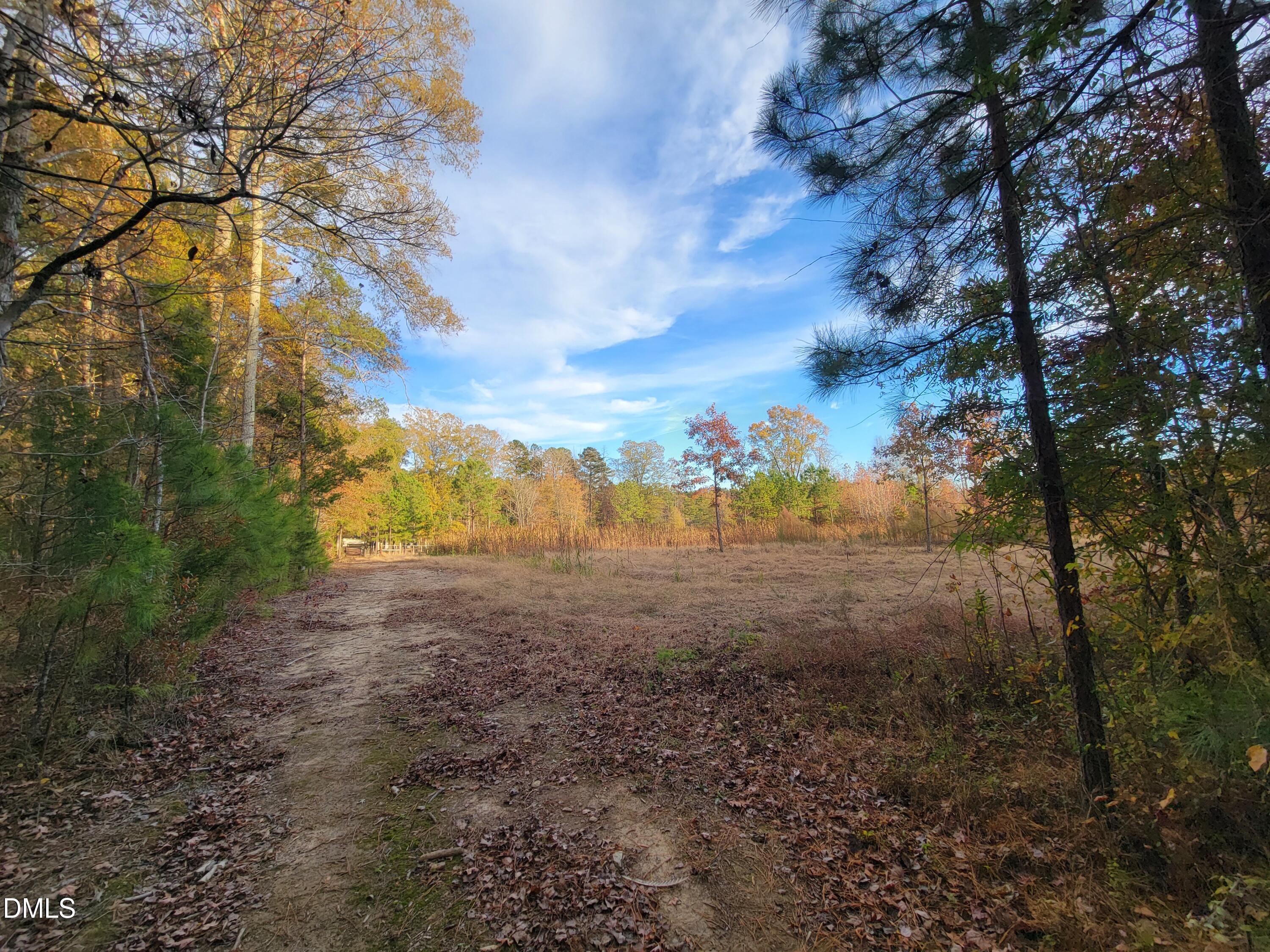 2081 Peed Road Rougemont, NC 27572 - Photo 30 of 42 a view of a yard with lots of trees