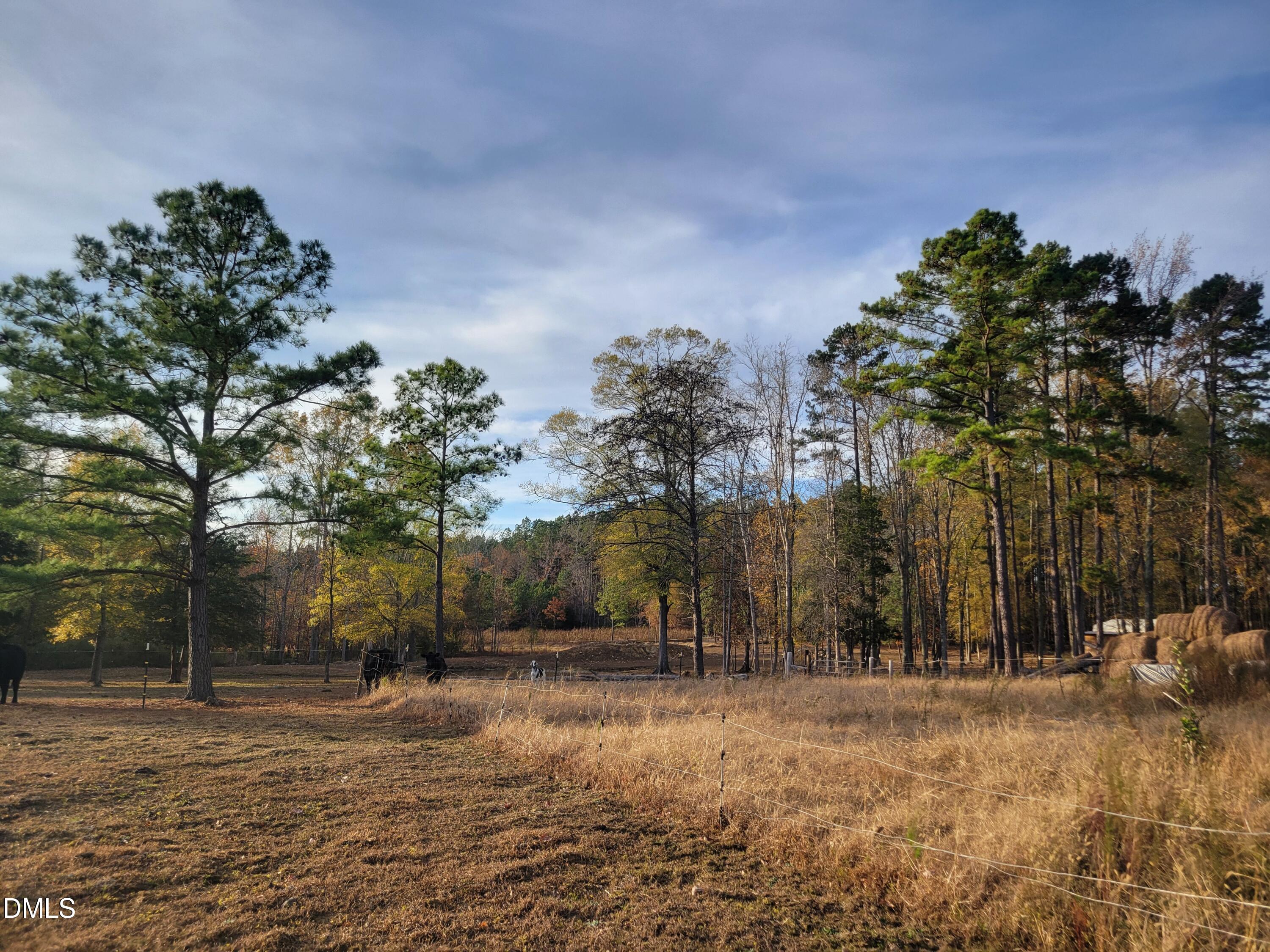 2081 Peed Road Rougemont, NC 27572 - Photo 3 of 42 a view of a yard with a tree