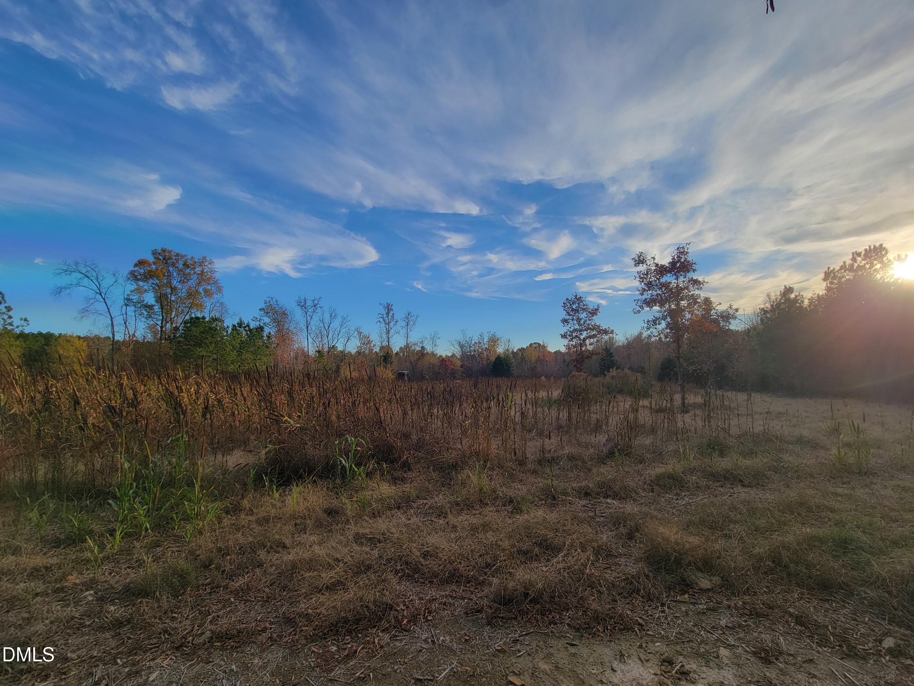 2081 Peed Road Rougemont, NC 27572 - Photo 31 of 42 a view of a yard