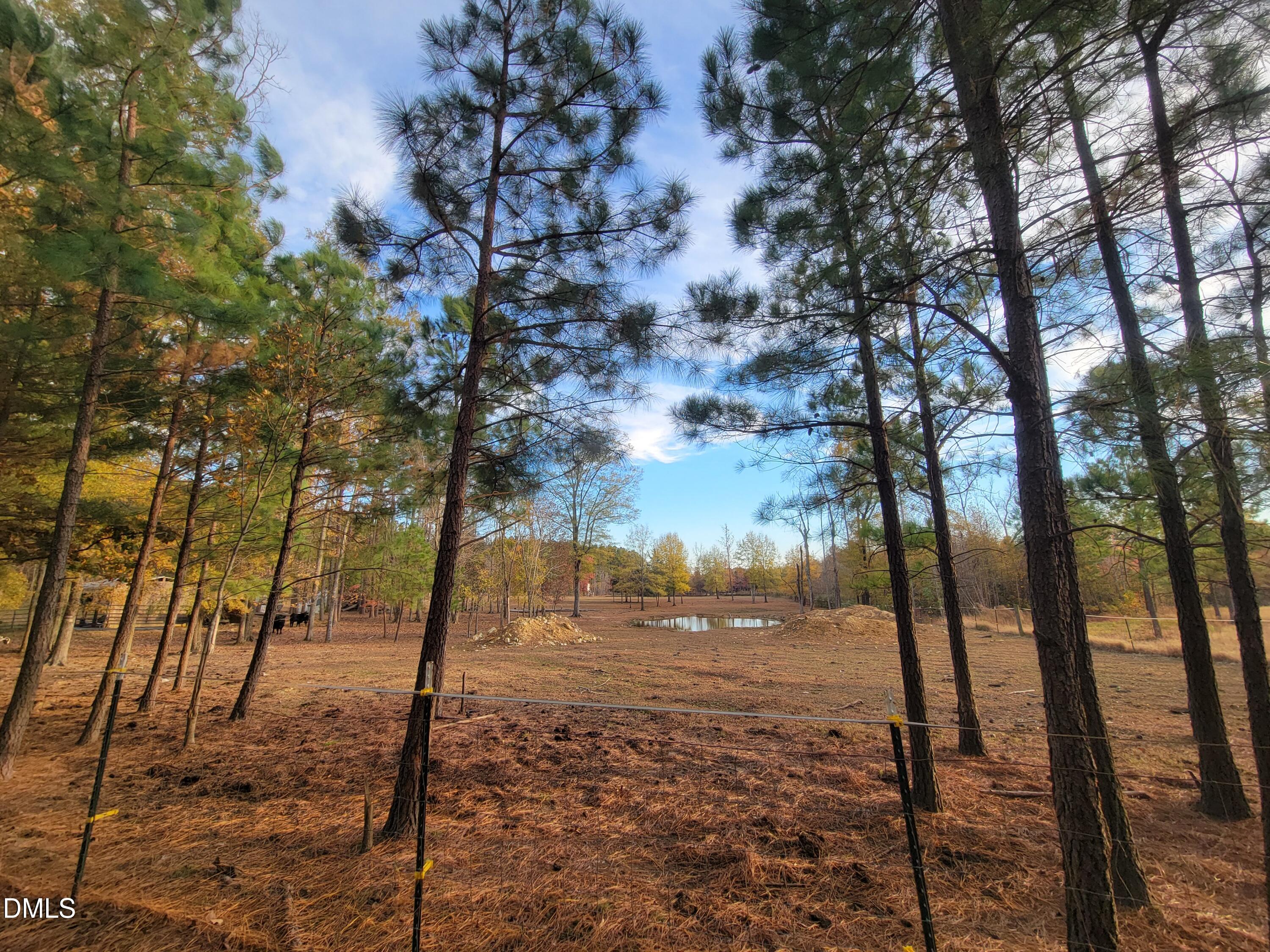 2081 Peed Road Rougemont, NC 27572 - Photo 32 of 42