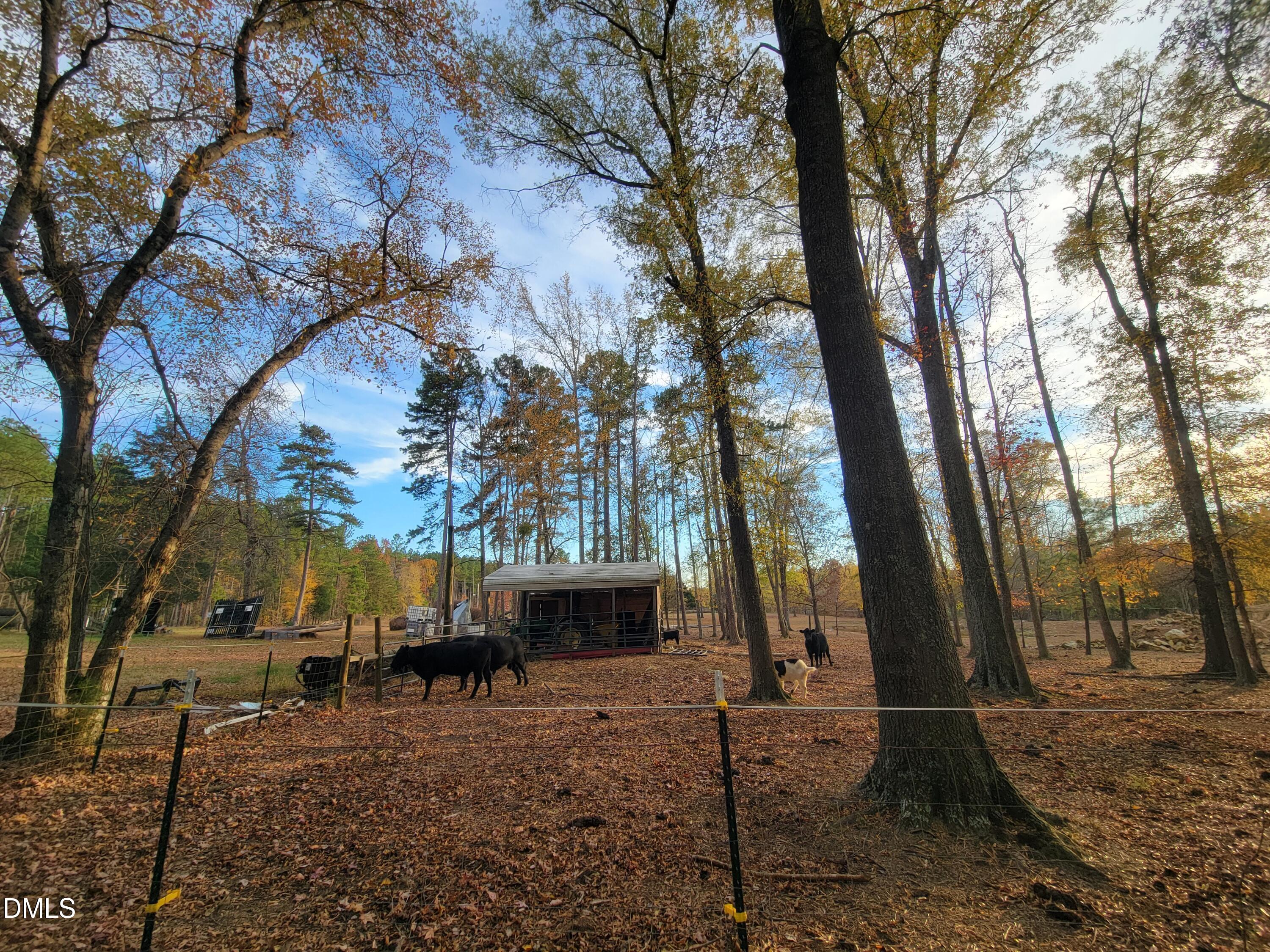 2081 Peed Road Rougemont, NC 27572 - Photo 35 of 42 a view of back yard