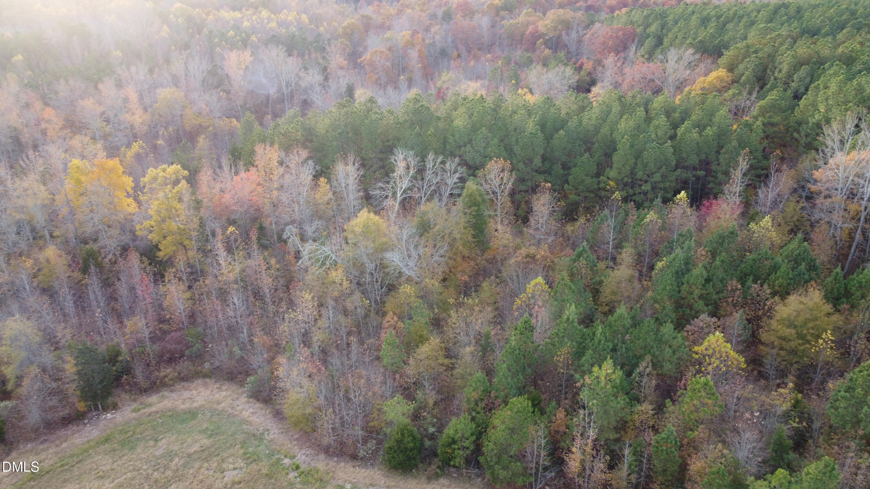 2081 Peed Road Rougemont, NC 27572 - Photo 39 of 42 a view of a yard