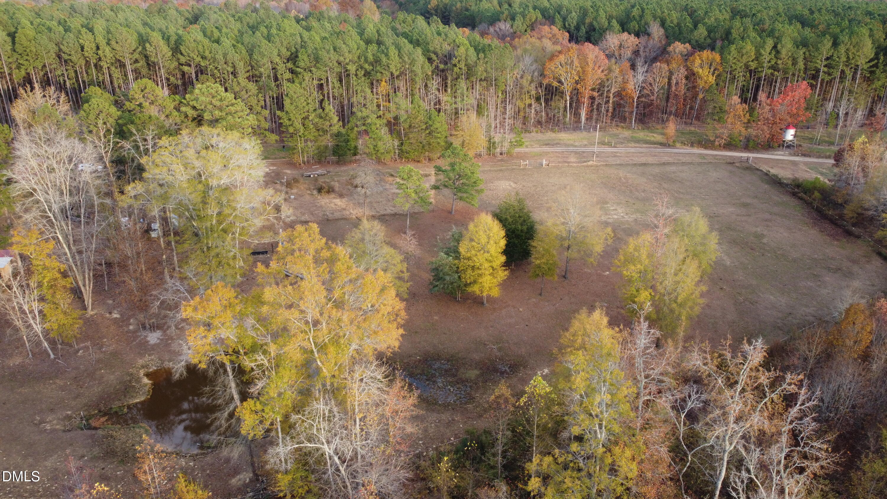 2081 Peed Road Rougemont, NC 27572 - Photo 40 of 42 a view of a yard with trees