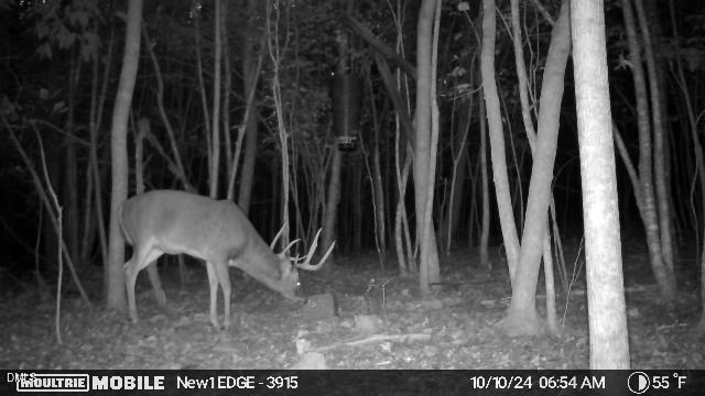 2081 Peed Road Rougemont, NC 27572 - Photo 6 of 42 a view of a chairs and table in a kitchen