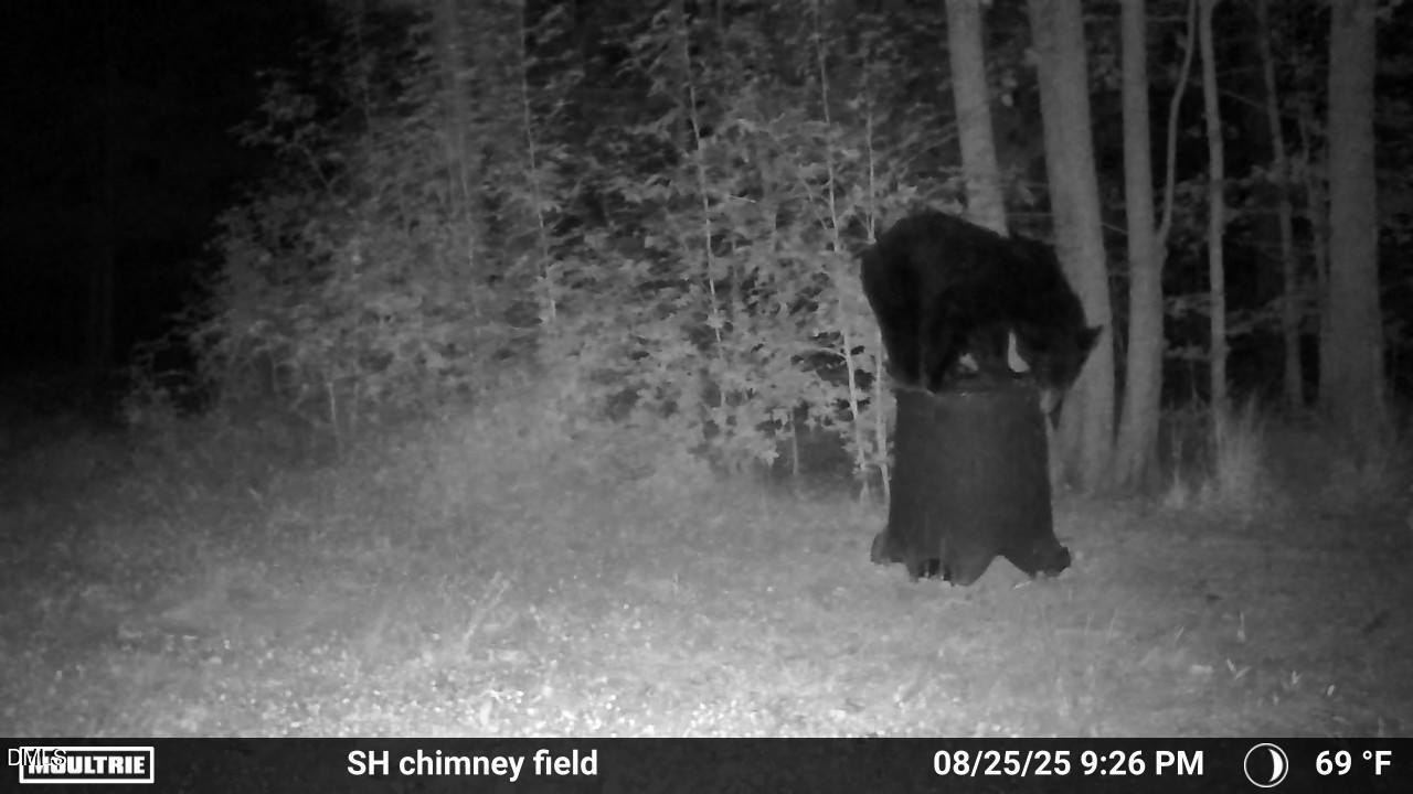 2081 Peed Road Rougemont, NC 27572 - Photo 7 of 42 a view of entryway