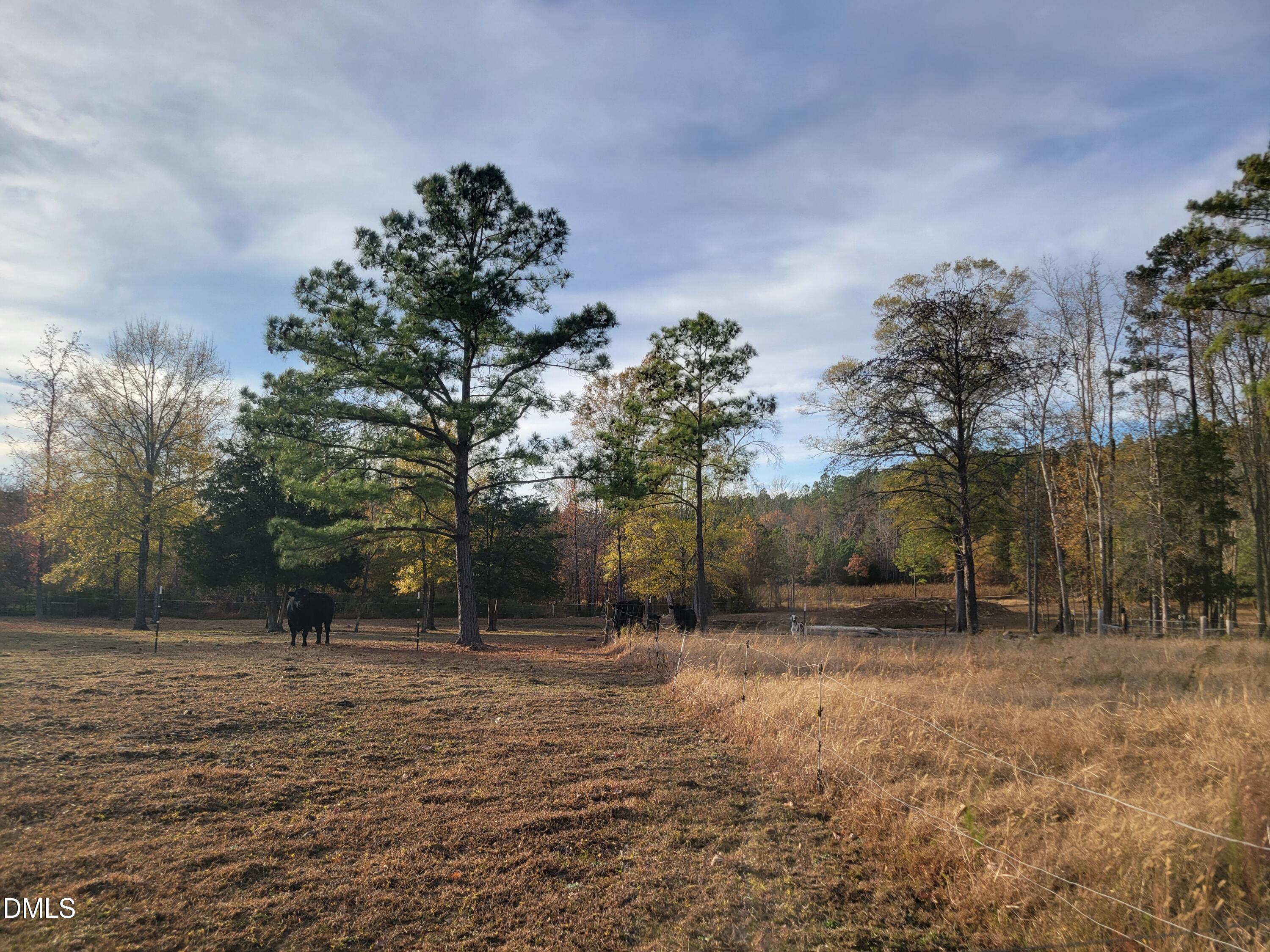 2081 Peed Road Rougemont, NC 27572 - Photo 8 of 42 a backyard of a house with lots of green space