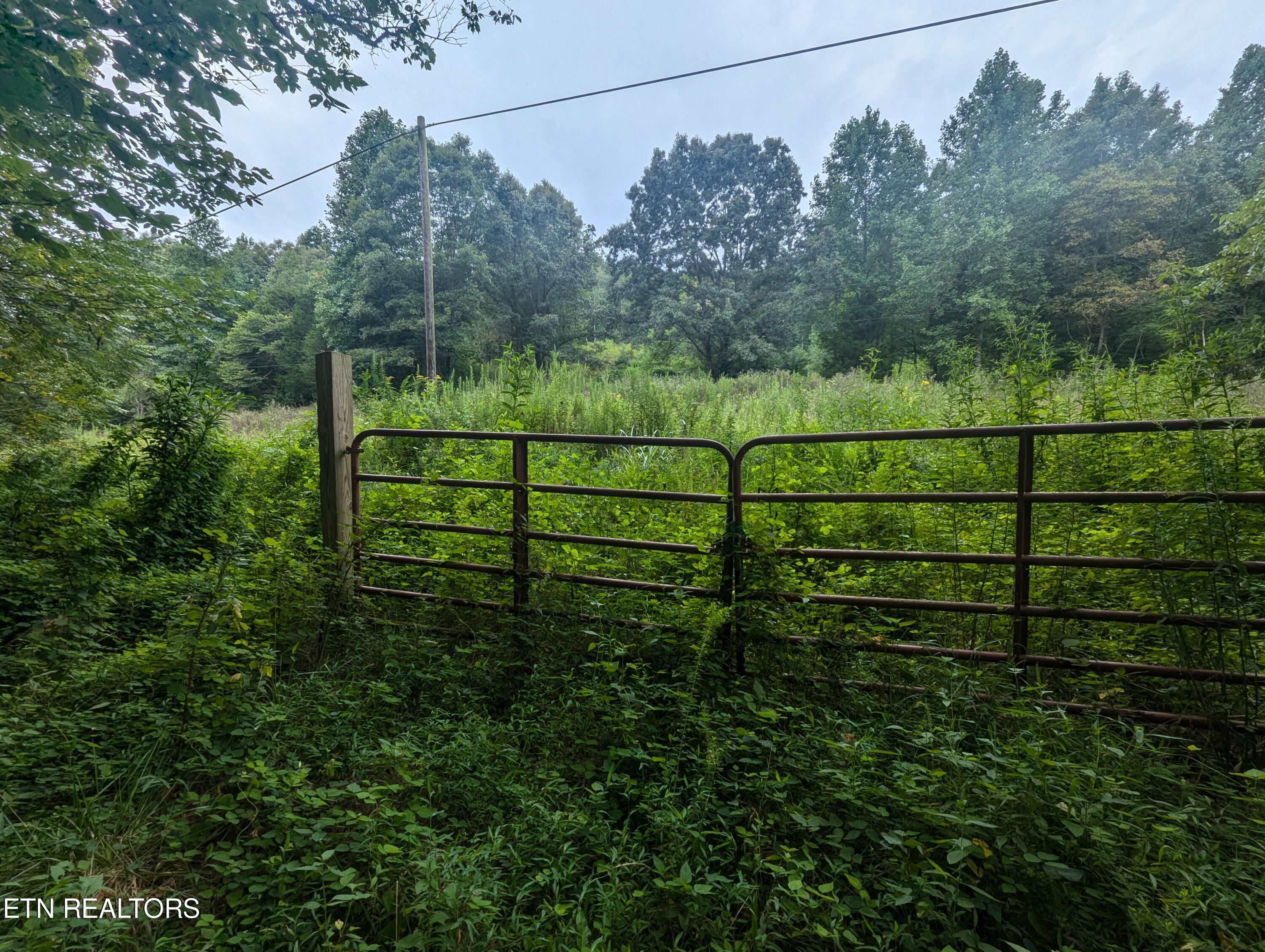 Little Valley Road Tazewell, TN 37879 - Photo 3 of 11 1000028999