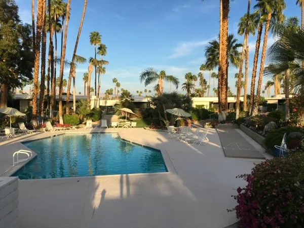 a view of a yard