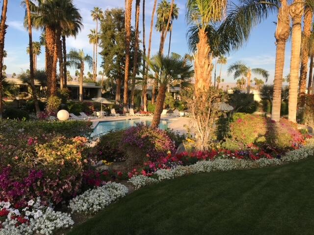 45765 Hopi Road Indian Wells, CA 92210 - Photo 34 of 39 a view of a garden with palm trees