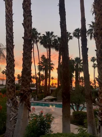 a view of a chairs and tables in a patio