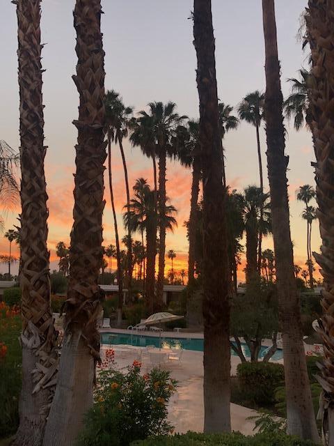 45765 Hopi Road Indian Wells, CA 92210 - Photo 35 of 39 a view of a yard