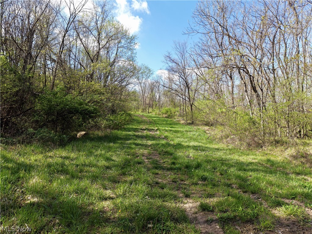 0 Harrons Ridge Road Dexter City, OH 45727 - Photo 15 of 29