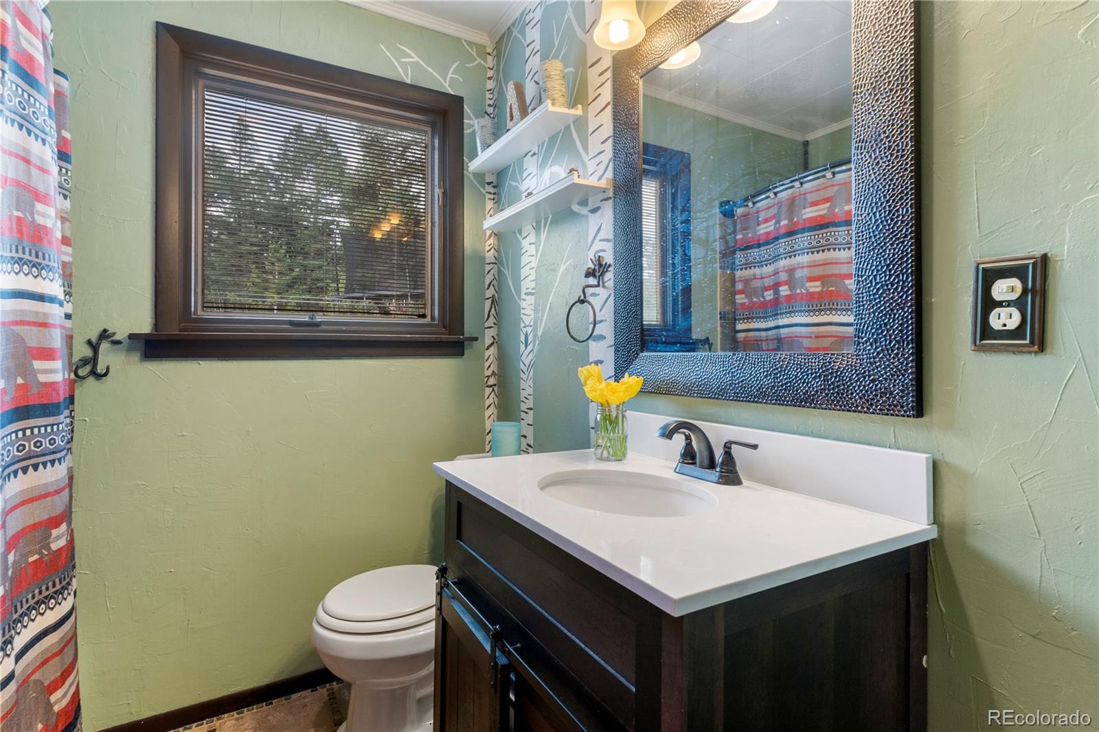 790 Pinewood Road Florissant, CO 80816 - Photo 20 of 34