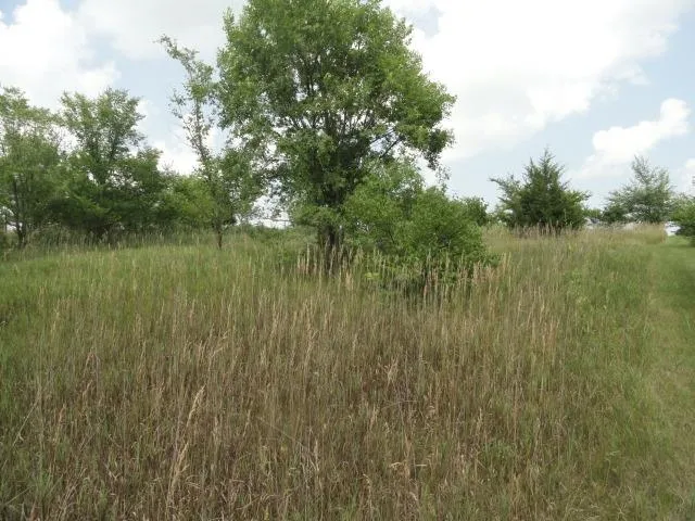 $254,000 | 10.45-acres Ringhand Road, Monticello, WI 53570