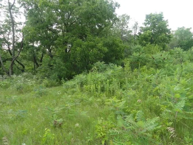 $254,000 | 10.45-acres Ringhand Road, Monticello, WI 53570