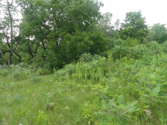 10.45-acres Ringhand Road Monticello, WI 53570 - Photo 26 of 79