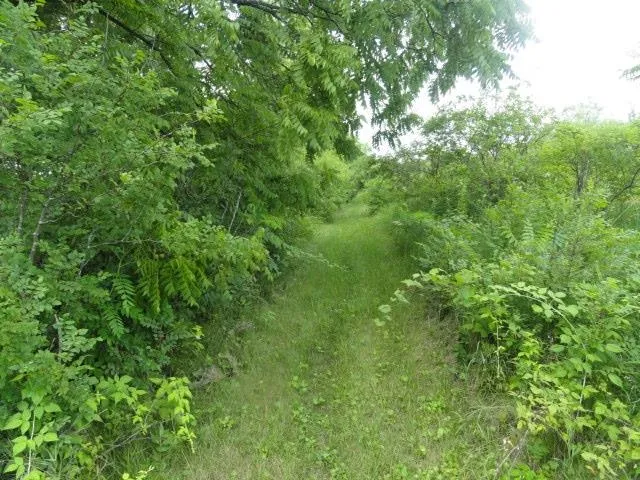 $254,000 | 10.45-acres Ringhand Road, Monticello, WI 53570