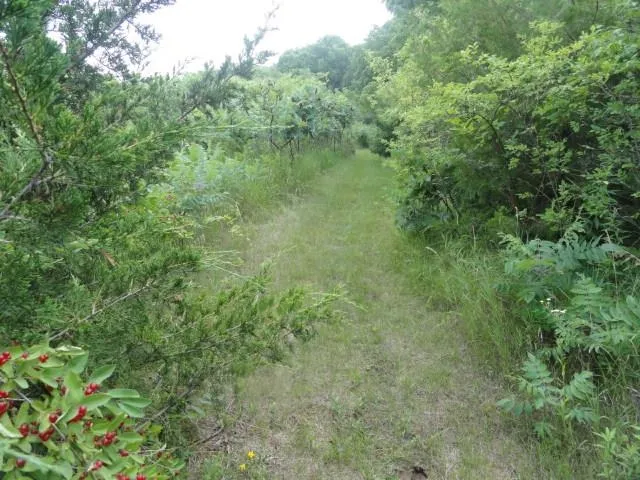 $254,000 | 10.45-acres Ringhand Road, Monticello, WI 53570