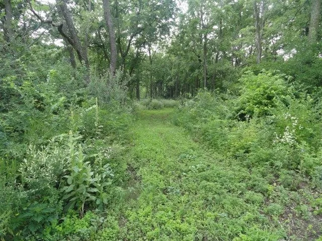 $254,000 | 10.45-acres Ringhand Road, Monticello, WI 53570