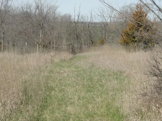 $254,000 | 10.45-acres Ringhand Road, Monticello, WI 53570