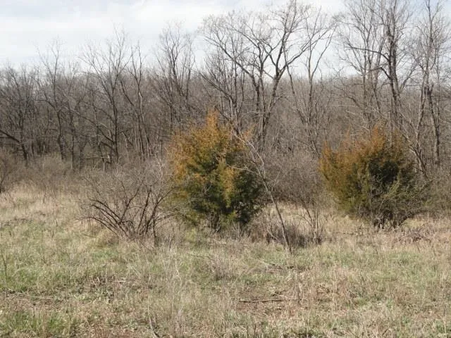 $254,000 | 10.45-acres Ringhand Road, Monticello, WI 53570