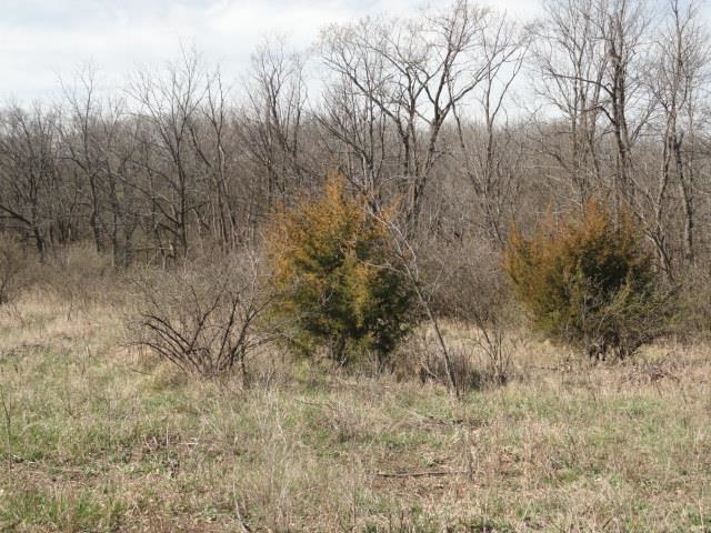 10.45-acres Ringhand Road Monticello, WI 53570 - Photo 62 of 79