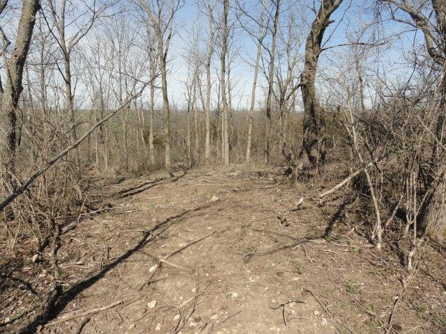 10.45-acres Ringhand Road Monticello, WI 53570 - Photo 63 of 79