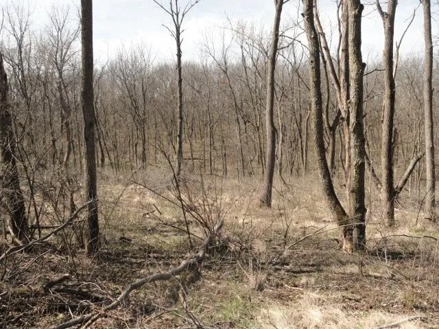 $254,000 | 10.45-acres Ringhand Road, Monticello, WI 53570