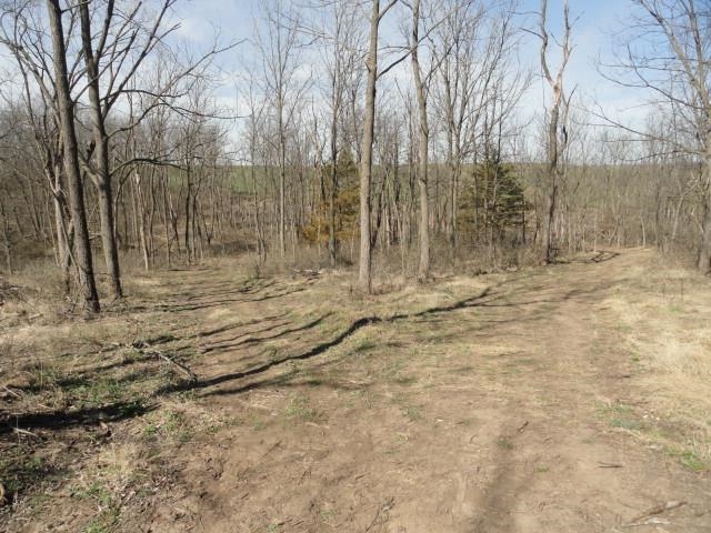 10.45-acres Ringhand Road Monticello, WI 53570 - Photo 65 of 79