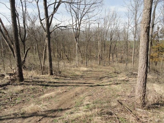 10.45-acres Ringhand Road Monticello, WI 53570 - Photo 66 of 79
