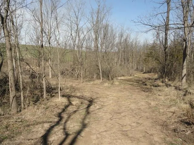 $254,000 | 10.45-acres Ringhand Road, Monticello, WI 53570