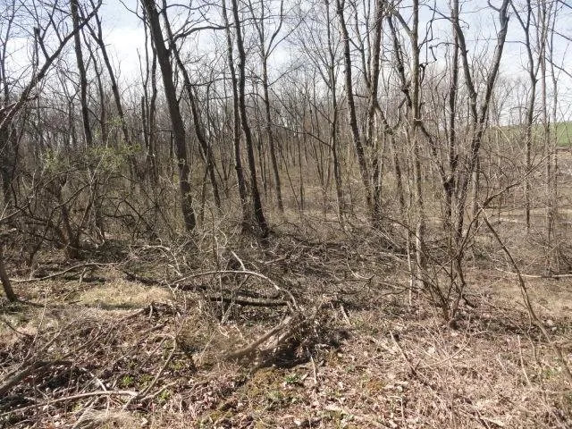 $254,000 | 10.45-acres Ringhand Road, Monticello, WI 53570