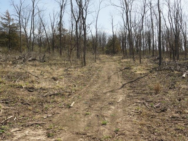 10.45-acres Ringhand Road Monticello, WI 53570 - Photo 71 of 79