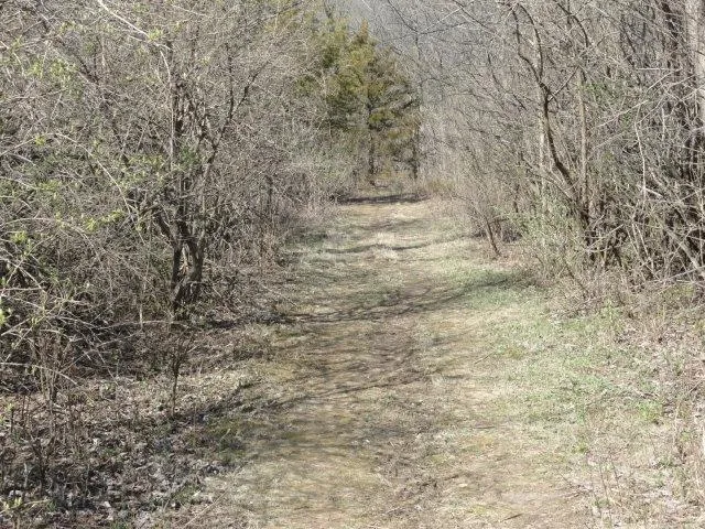 $254,000 | 10.45-acres Ringhand Road, Monticello, WI 53570