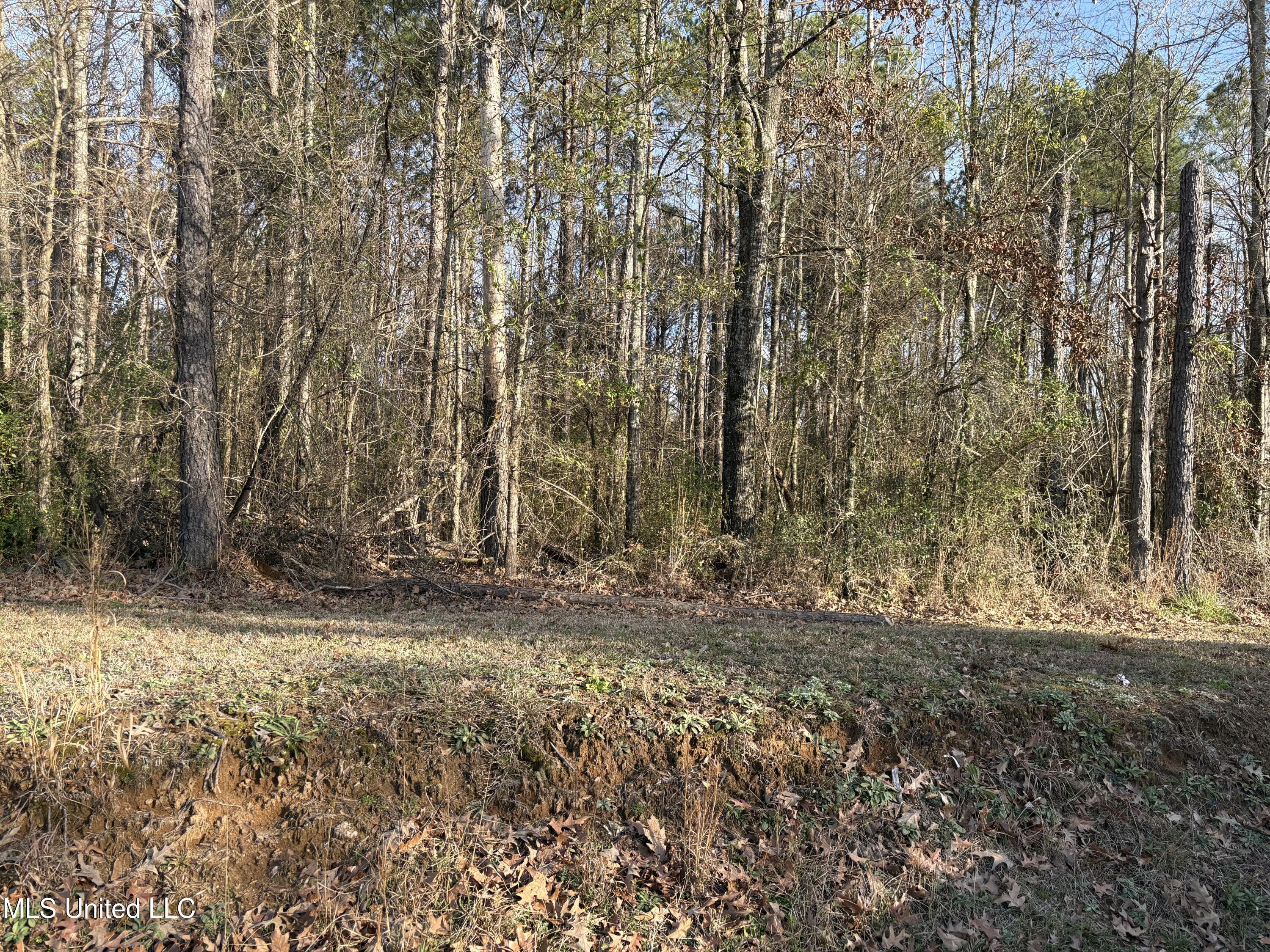 0 North Siwell Road Jackson, MS 39209 - Photo 11 of 16 IMG_8287