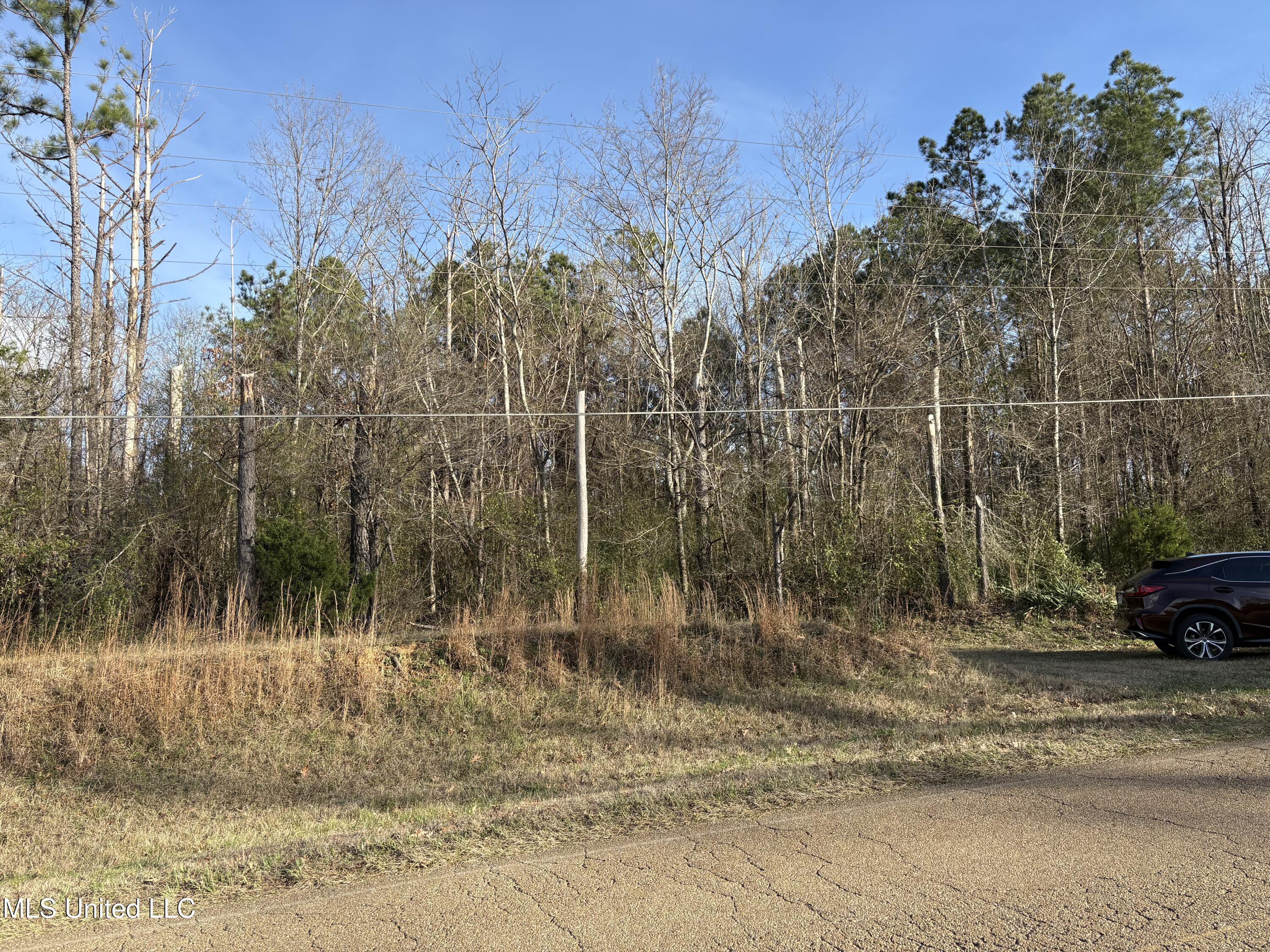 0 North Siwell Road Jackson, MS 39209 - Photo 4 of 16 IMG_8291