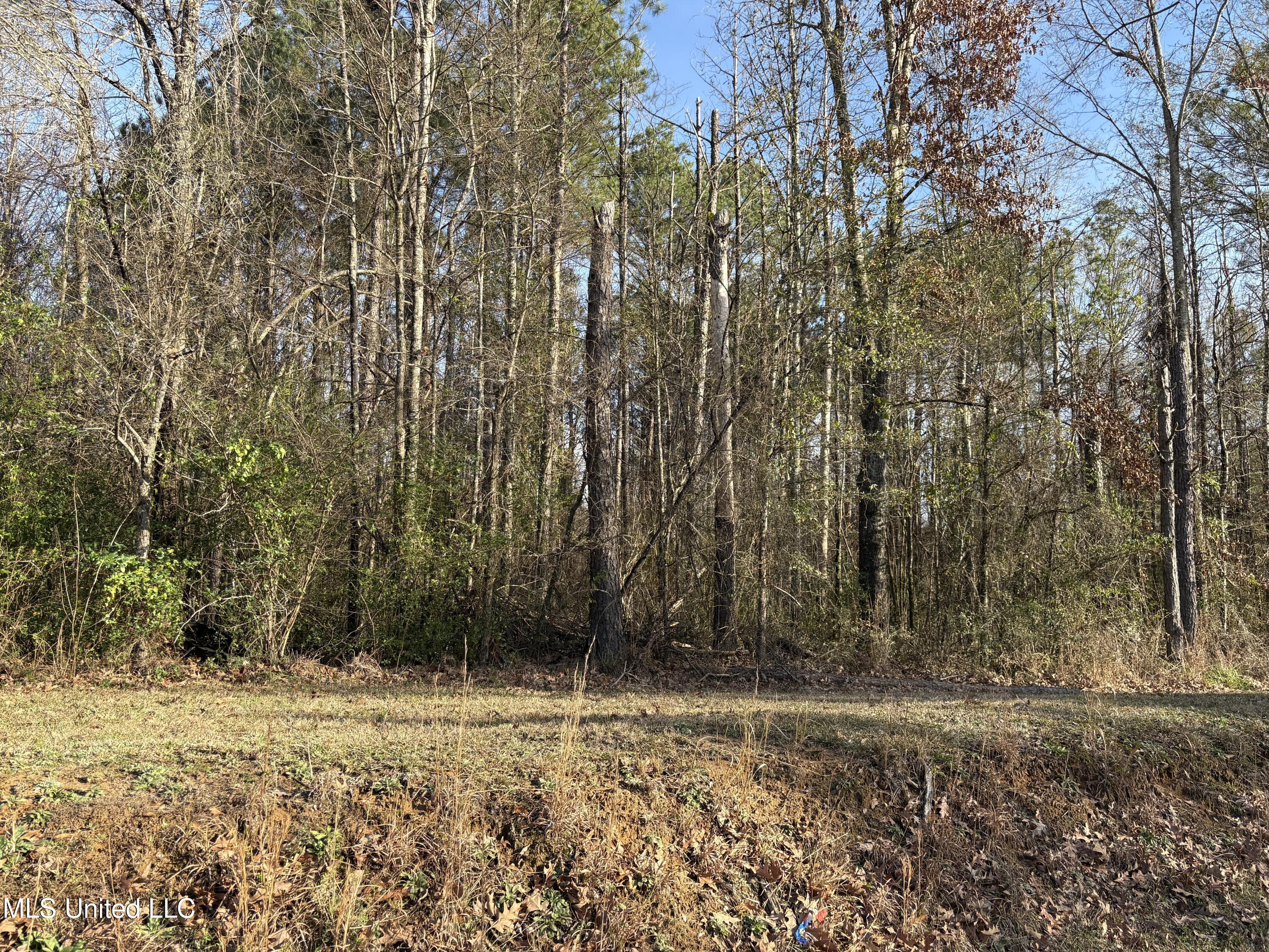 0 North Siwell Road Jackson, MS 39209 - Photo 5 of 16 IMG_8292