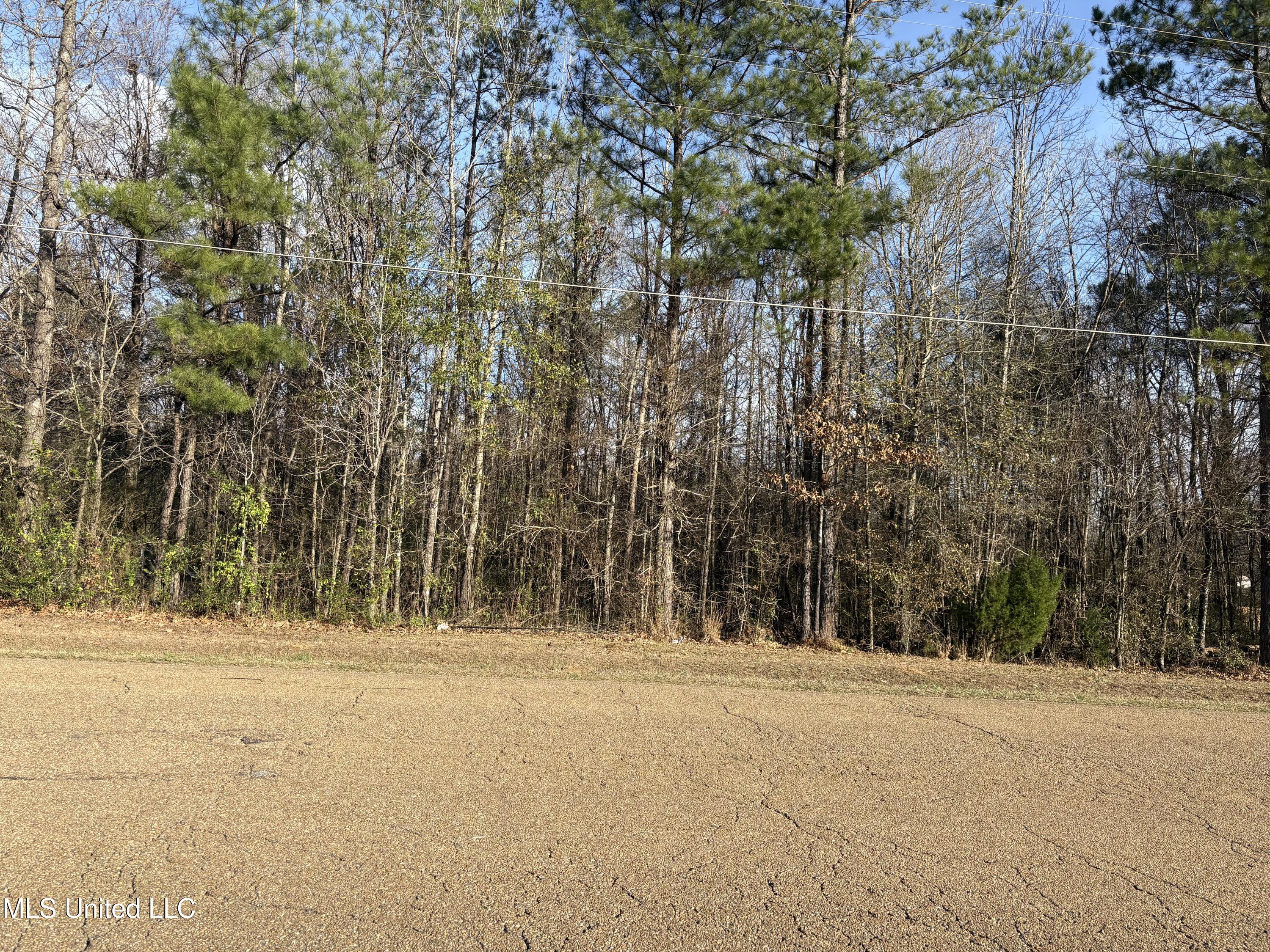 0 North Siwell Road Jackson, MS 39209 - Photo 8 of 16 IMG_8282