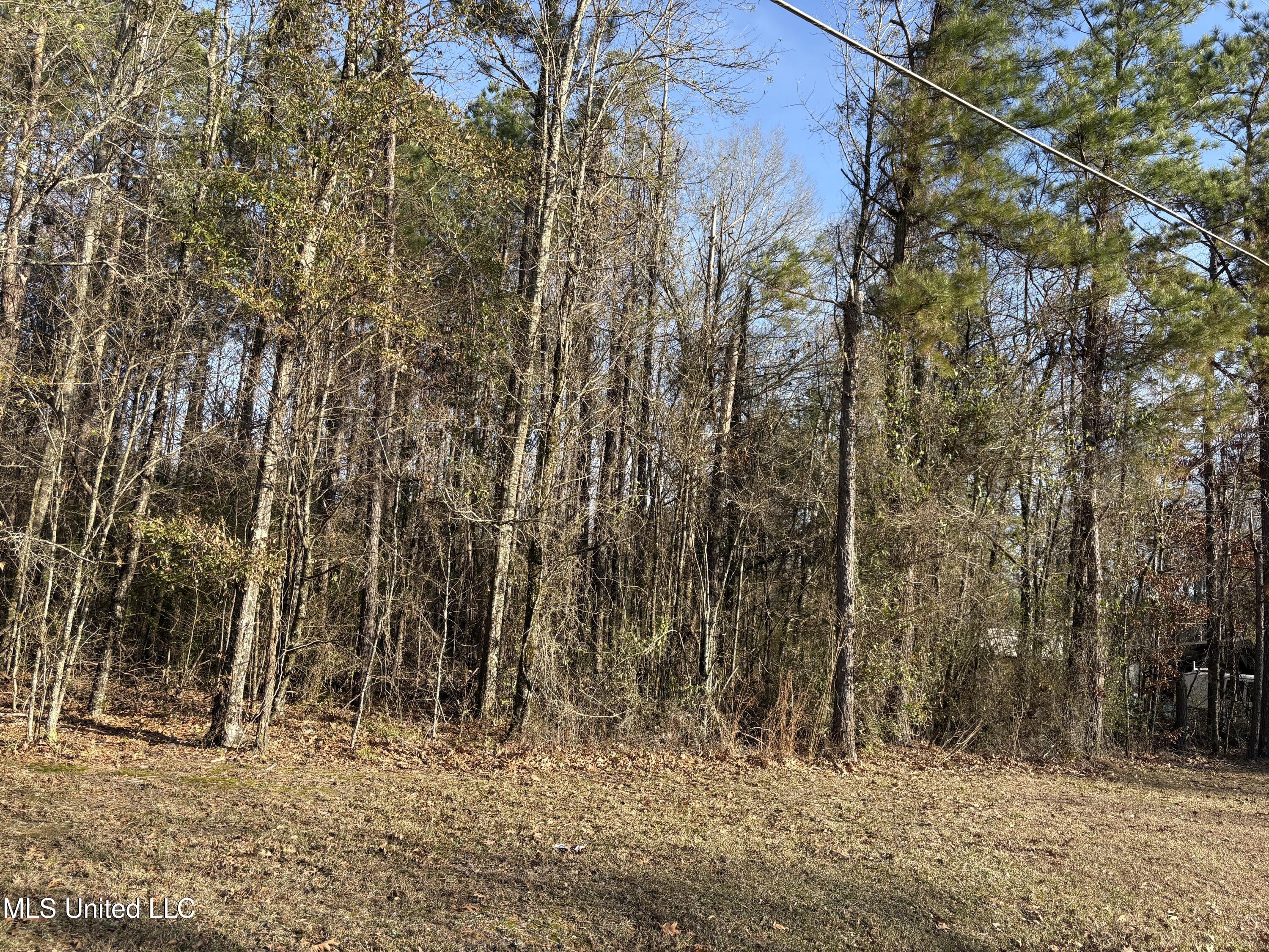 0 North Siwell Road Jackson, MS 39209 - Photo 9 of 16 IMG_8285