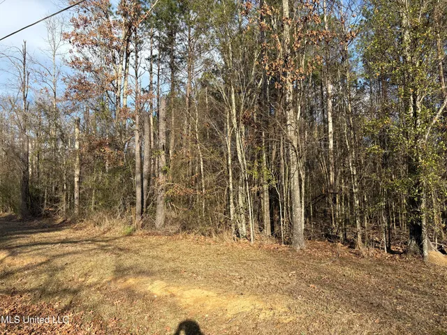 $95,500 | 0 North Siwell Road, Jackson, MS 39209