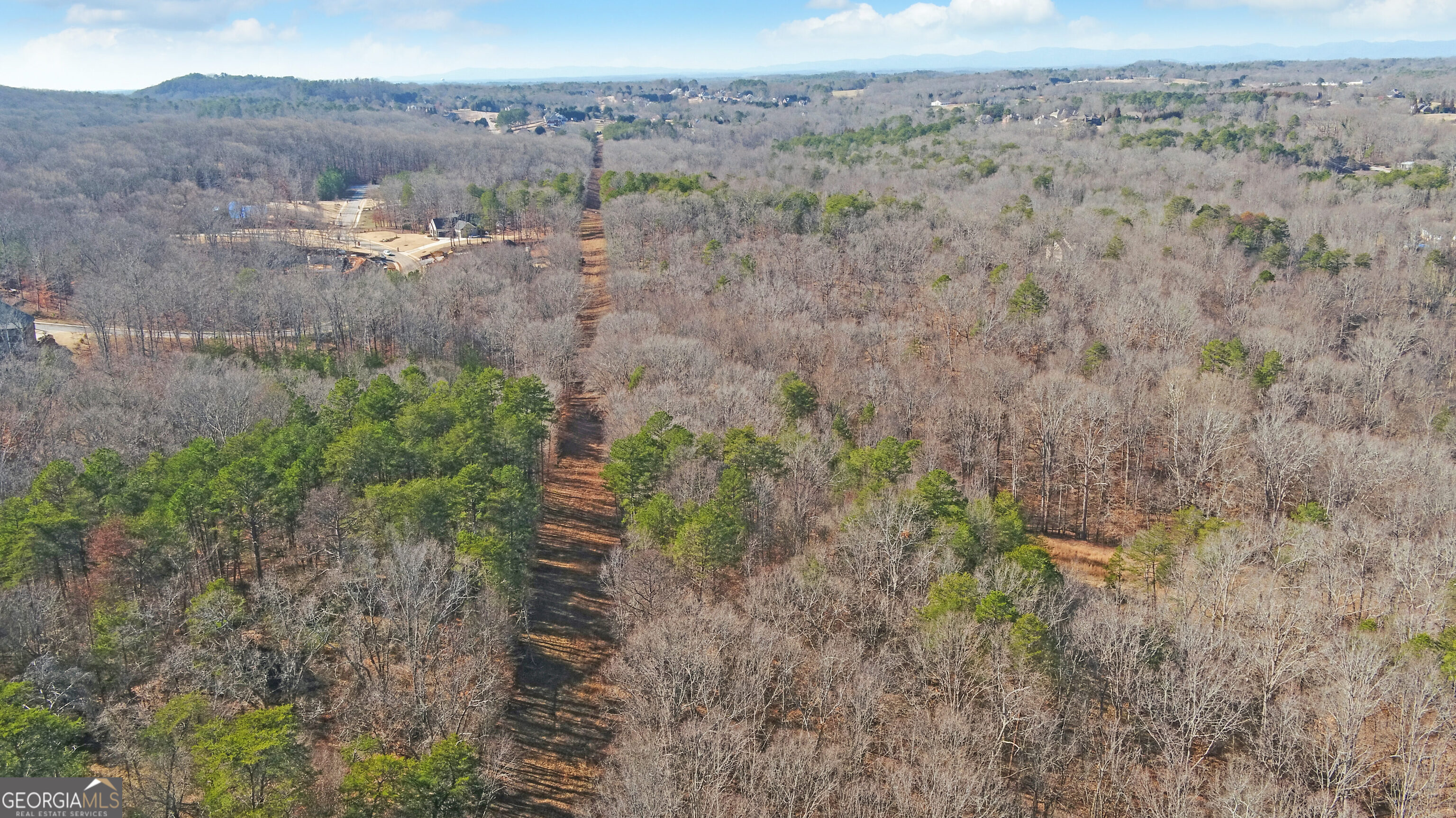 4431 Jim Hood Road Gainesville, GA 30506 - Photo 12 of 33 a view of a dry yard with trees