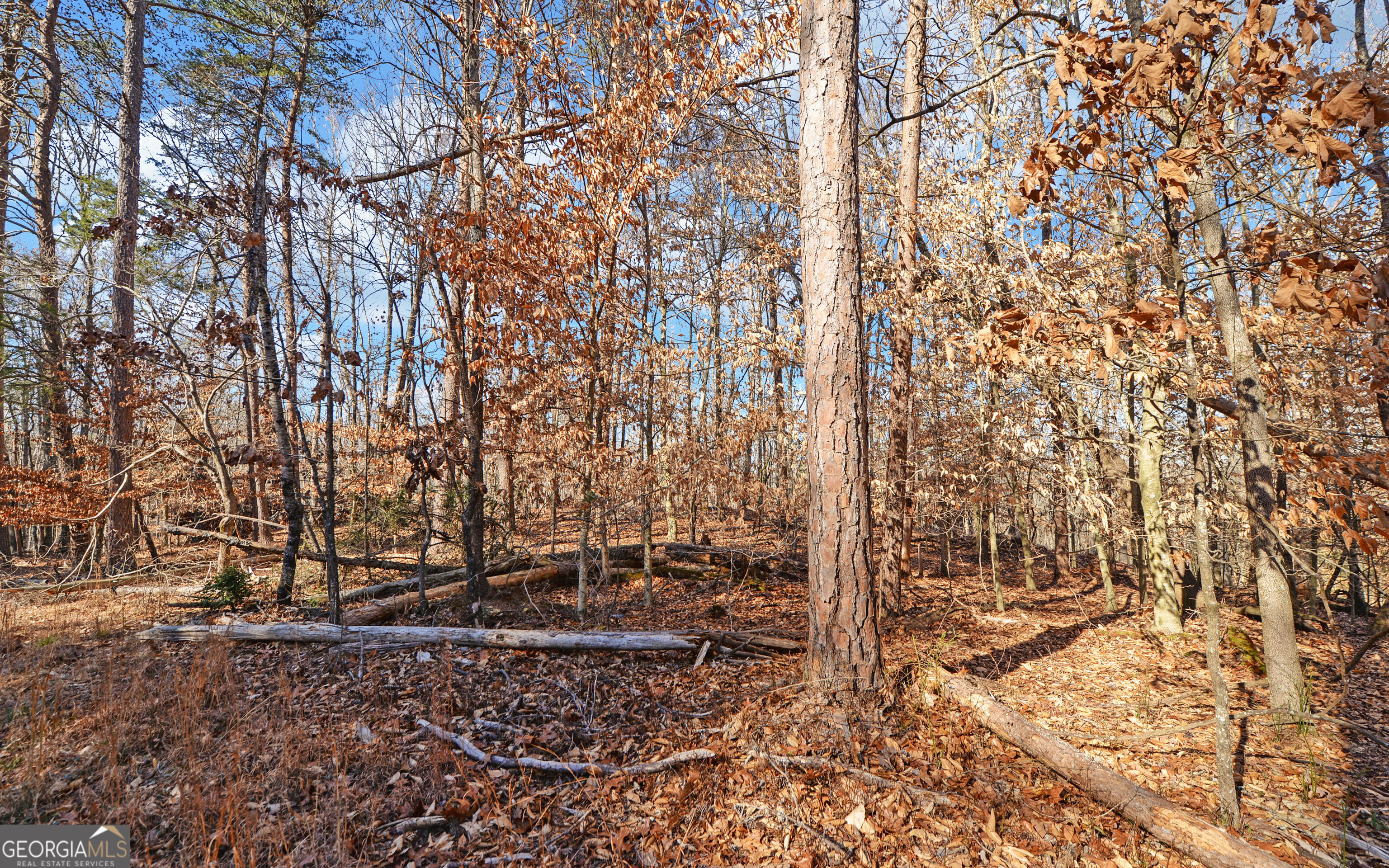 4431 Jim Hood Road Gainesville, GA 30506 - Photo 17 of 33 a backyard of a house with lots of green space