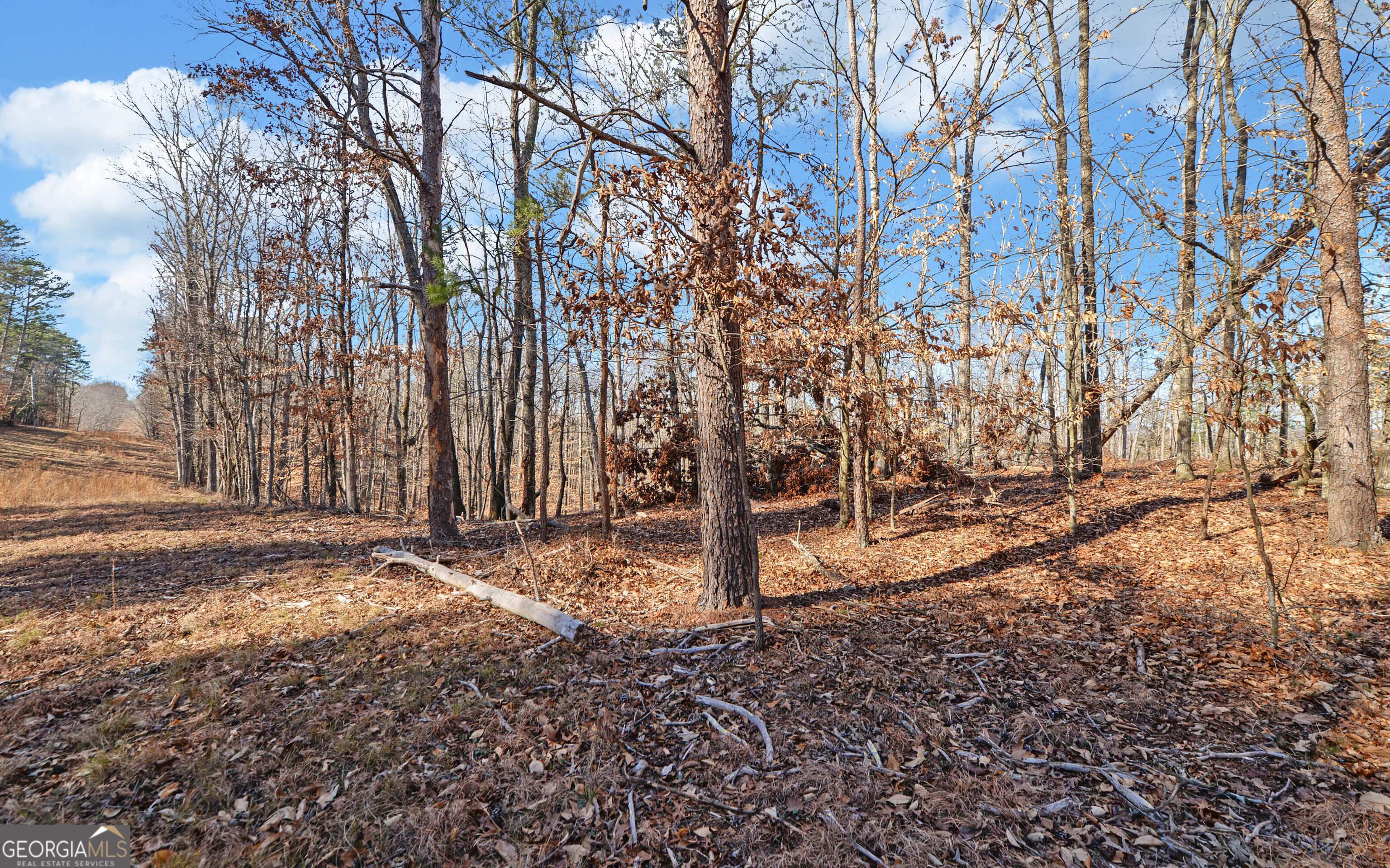 4431 Jim Hood Road Gainesville, GA 30506 - Photo 19 of 33 a view of a yard with trees