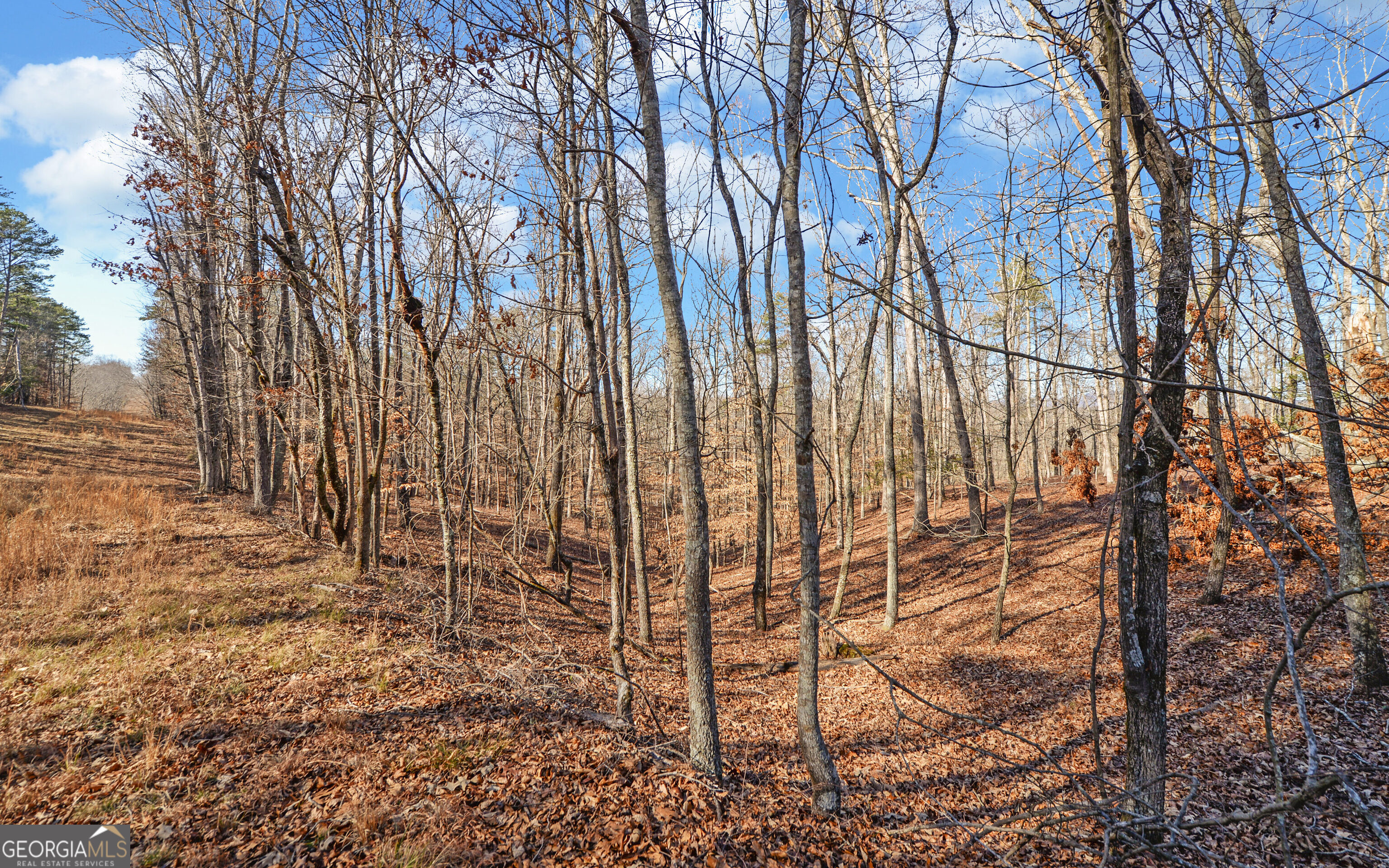 4431 Jim Hood Road Gainesville, GA 30506 - Photo 20 of 33 a backyard of a house with lots of green space