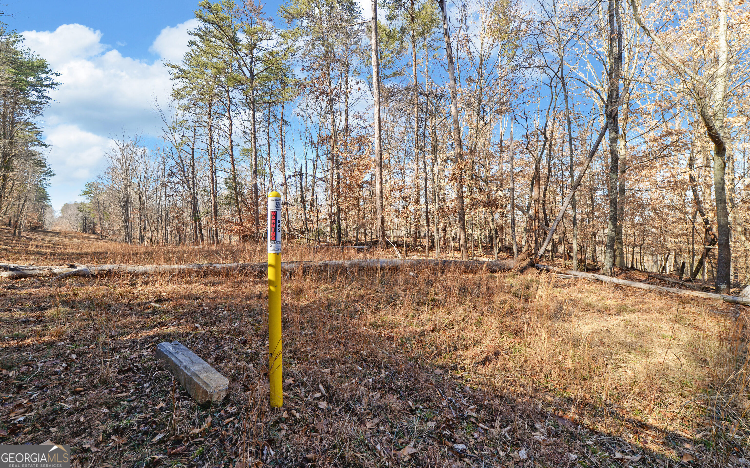 4431 Jim Hood Road Gainesville, GA 30506 - Photo 22 of 33 a view of a backyard of the house