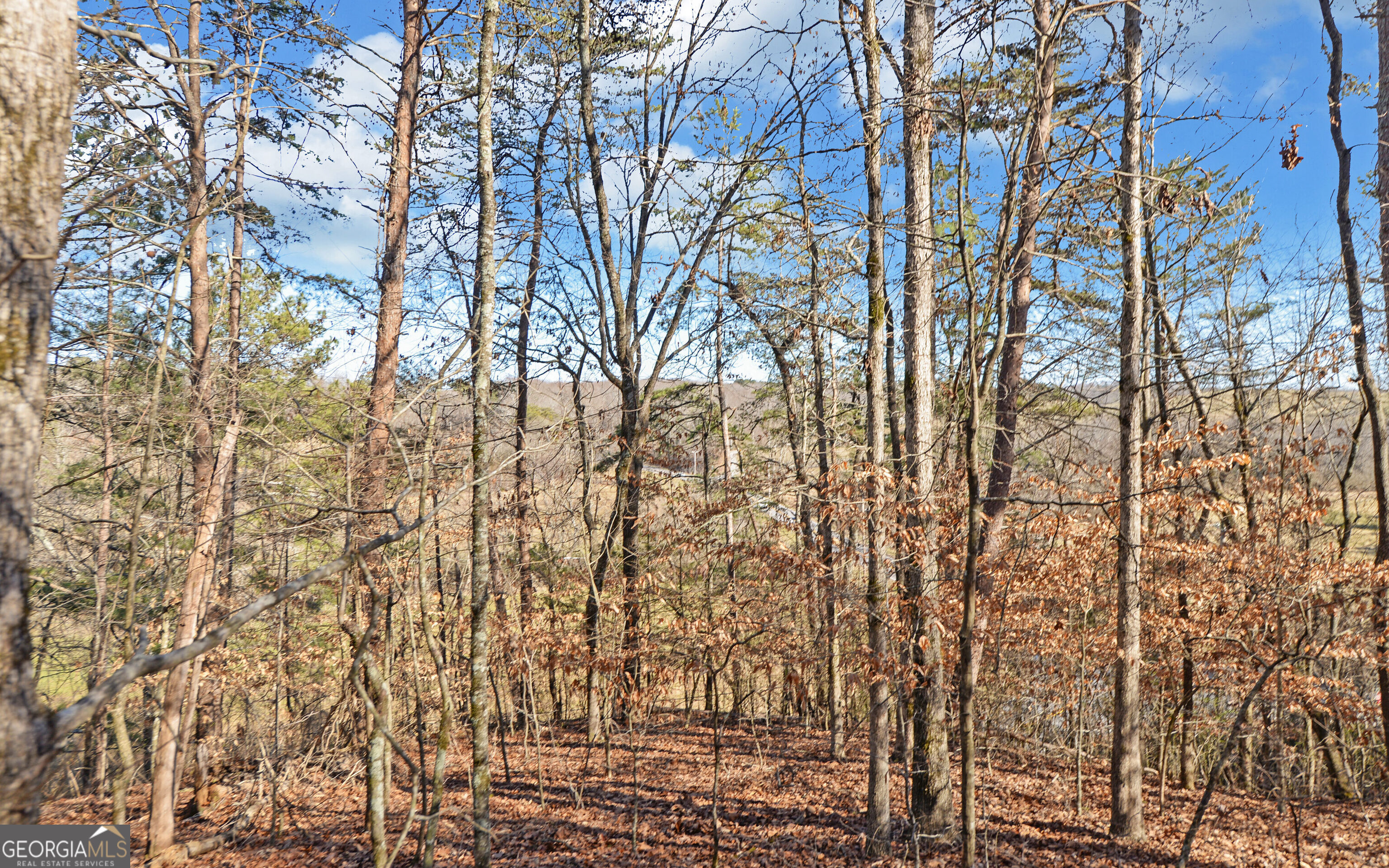 4431 Jim Hood Road Gainesville, GA 30506 - Photo 23 of 33