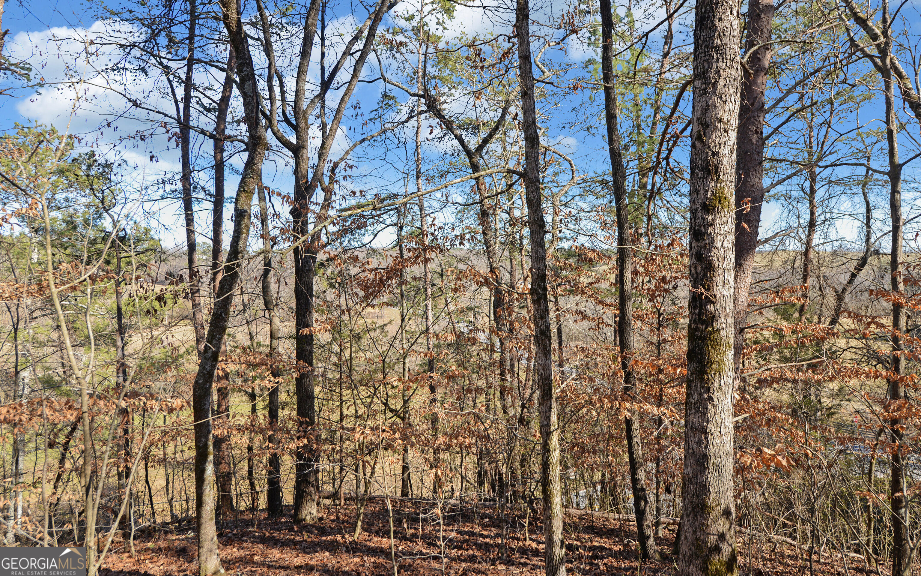 4431 Jim Hood Road Gainesville, GA 30506 - Photo 25 of 33