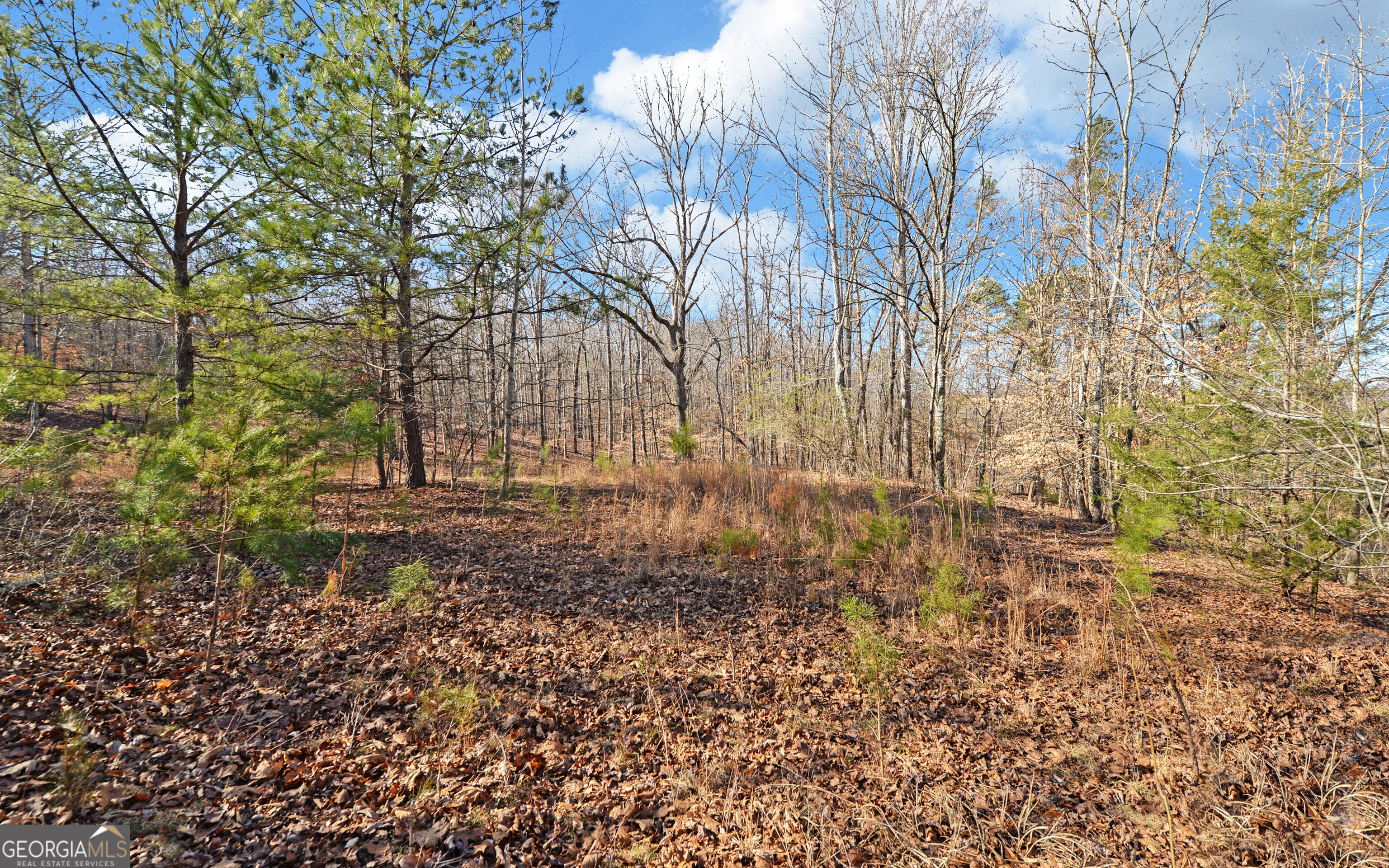 4431 Jim Hood Road Gainesville, GA 30506 - Photo 26 of 33 a view of yard