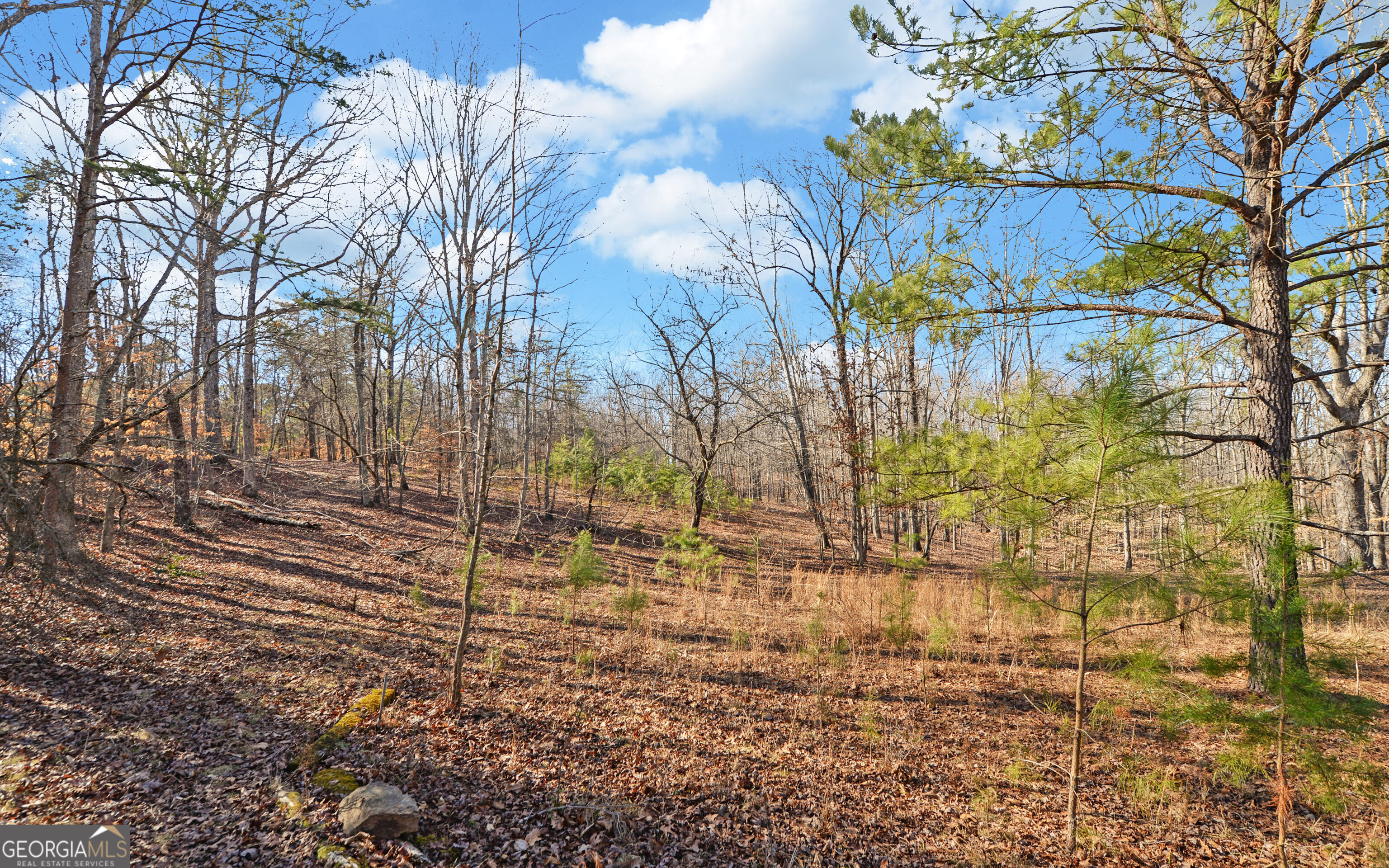 4431 Jim Hood Road Gainesville, GA 30506 - Photo 27 of 33