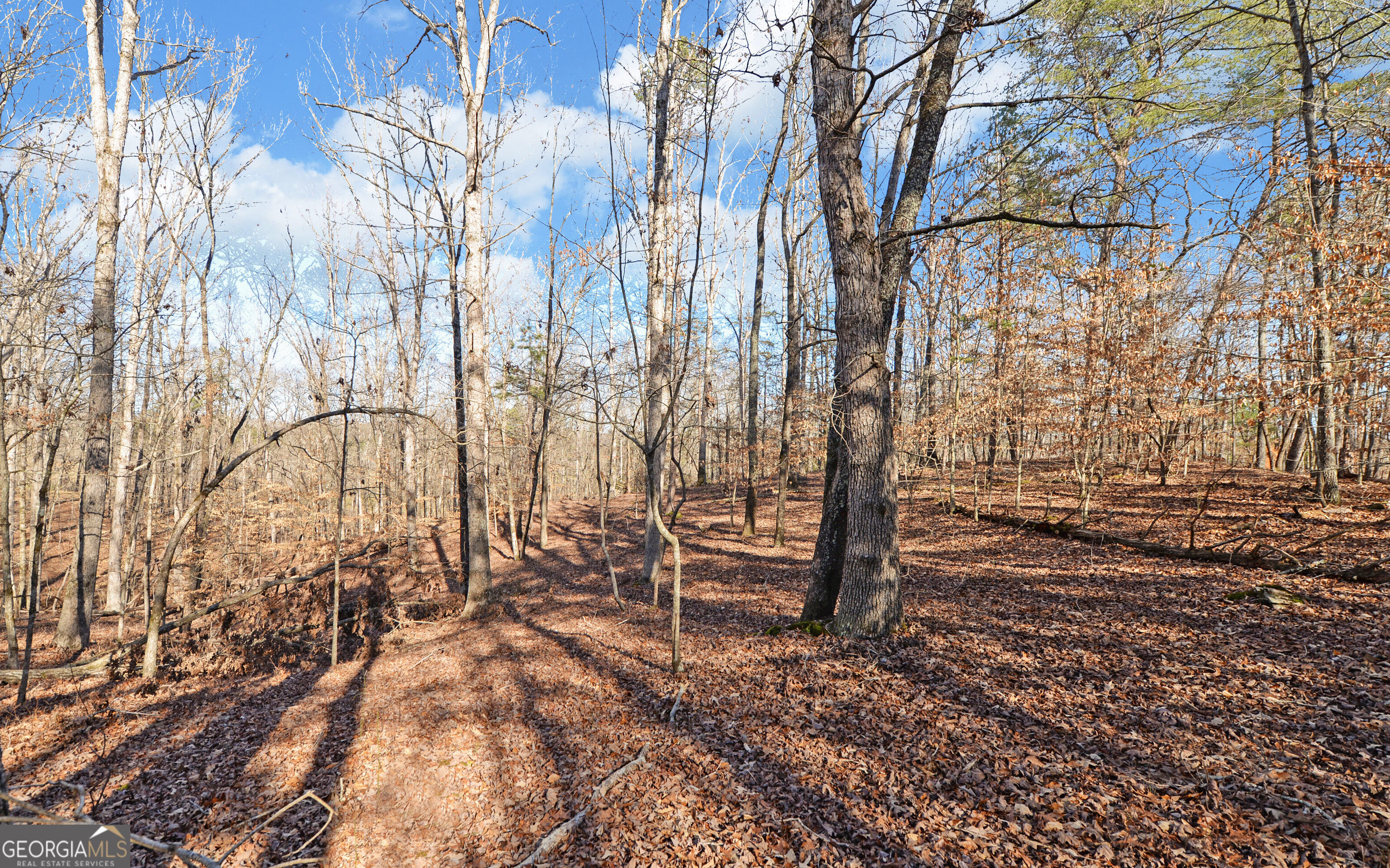 4431 Jim Hood Road Gainesville, GA 30506 - Photo 30 of 33 a backyard of a house with lots of green space